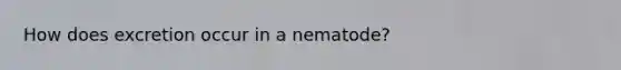 How does excretion occur in a nematode?