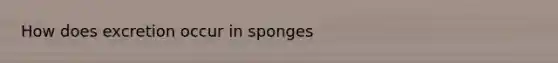 How does excretion occur in sponges