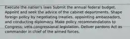 Execute the nation's laws Submit the annual federal budget. Appoint and seek the advice of the cabinet departments. Shape foreign policy by negotiating treaties, appointing ambassadors, and conducting diplomacy. Make policy recommendations to Congress; veto congressional legislation. Deliver pardons Act as commander in chief of the armed forces.