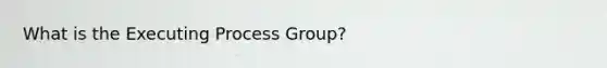 What is the Executing Process Group?