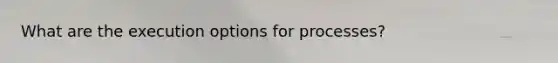 What are the execution options for processes?