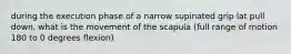 during the execution phase of a narrow supinated grip lat pull down, what is the movement of the scapula (full range of motion 180 to 0 degrees flexion)