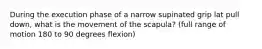 During the execution phase of a narrow supinated grip lat pull down, what is the movement of the scapula? (full range of motion 180 to 90 degrees flexion)