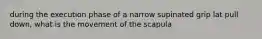 during the execution phase of a narrow supinated grip lat pull down, what is the movement of the scapula