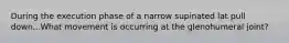 During the execution phase of a narrow supinated lat pull down...What movement is occurring at the glenohumeral joint?