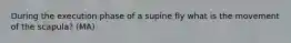 During the execution phase of a supine fly what is the movement of the scapula? (MA)