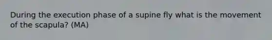 During the execution phase of a supine fly what is the movement of the scapula? (MA)