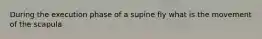 During the execution phase of a supine fly what is the movement of the scapula