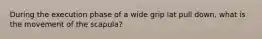 During the execution phase of a wide grip lat pull down, what is the movement of the scapula?