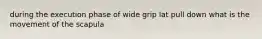 during the execution phase of wide grip lat pull down what is the movement of the scapula