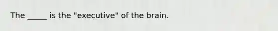 The _____ is the "executive" of the brain.