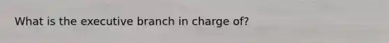 What is the executive branch in charge of?
