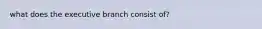 what does the executive branch consist of?