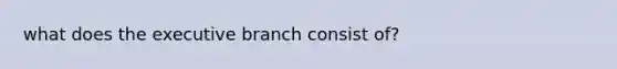 what does the executive branch consist of?