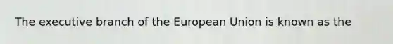 The executive branch of the European Union is known as the