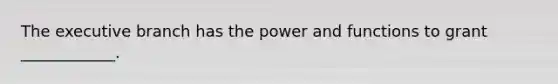 The executive branch has the power and functions to grant ____________.