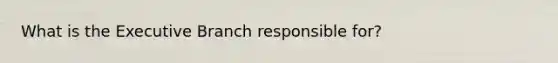 What is the Executive Branch responsible for?