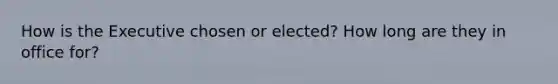 How is the Executive chosen or elected? How long are they in office for?