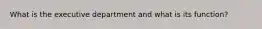 What is the executive department and what is its function?