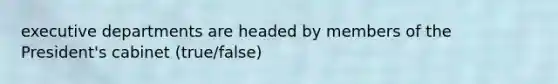 executive departments are headed by members of the President's cabinet (true/false)
