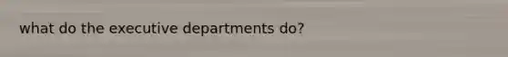 what do the executive departments do?