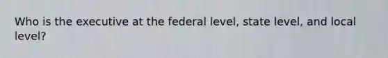 Who is the executive at the federal level, state level, and local level?