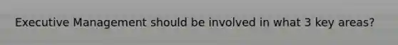 Executive Management should be involved in what 3 key areas?
