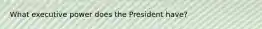 What executive power does the President have?