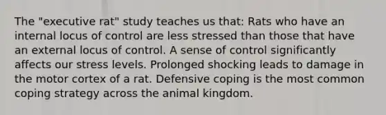 The "executive rat" study teaches us that: Rats who have an internal locus of control are less stressed than those that have an external locus of control. A sense of control significantly affects our stress levels. Prolonged shocking leads to damage in the motor cortex of a rat. Defensive coping is the most common coping strategy across the animal kingdom.