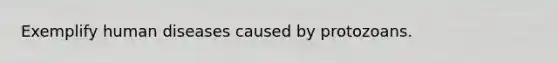 Exemplify human diseases caused by protozoans.