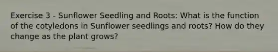 Exercise 3 - Sunflower Seedling and Roots: What is the function of the cotyledons in Sunflower seedlings and roots? How do they change as the plant grows?