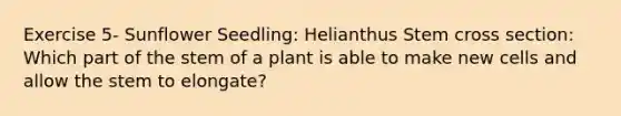 Exercise 5- Sunflower Seedling: Helianthus Stem cross section: Which part of the stem of a plant is able to make new cells and allow the stem to elongate?