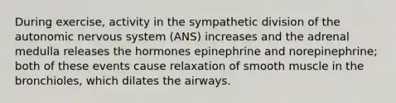 During exercise, activity in the sympathetic division of <a href='https://www.questionai.com/knowledge/kMqcwgxBsH-the-autonomic-nervous-system' class='anchor-knowledge'>the autonomic nervous system</a> (ANS) increases and the adrenal medulla releases the hormones epinephrine and norepinephrine; both of these events cause relaxation of smooth muscle in the bronchioles, which dilates the airways.