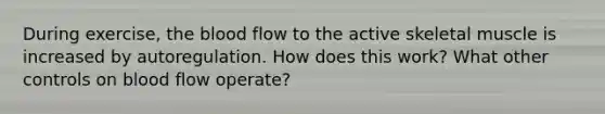 During exercise, the blood flow to the active skeletal muscle is increased by autoregulation. How does this work? What other controls on blood flow operate?