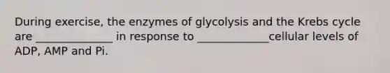 During exercise, the enzymes of glycolysis and the Krebs cycle are ______________ in response to _____________cellular levels of ADP, AMP and Pi.