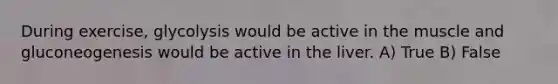 During exercise, glycolysis would be active in the muscle and gluconeogenesis would be active in the liver. A) True B) False