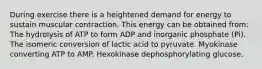 During exercise there is a heightened demand for energy to sustain muscular contraction. This energy can be obtained from: The hydrolysis of ATP to form ADP and inorganic phosphate (Pi). The isomeric conversion of lactic acid to pyruvate. Myokinase converting ATP to AMP. Hexokinase dephosphorylating glucose.