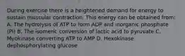 During exercise there is a heightened demand for energy to sustain muscular contraction. This energy can be obtained from: A. The hydrolysis of ATP to form ADP and inorganic phosphate (Pi) B. The isomeric conversion of lactic acid to pyruvate C. Myokinase converting ATP to AMP D. Hexokinase dephosphorylating glucose