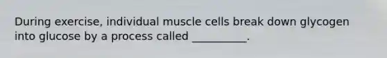 During exercise, individual muscle cells break down glycogen into glucose by a process called __________.