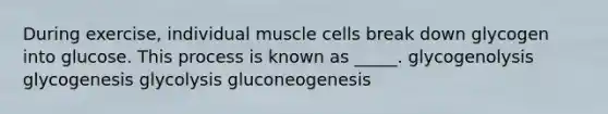 During exercise, individual muscle cells break down glycogen into glucose. This process is known as _____. glycogenolysis glycogenesis glycolysis gluconeogenesis