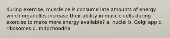 during exercise, muscle cells consume late amounts of energy. which organelles increase their ability in muscle cells during exercise to make more energy available? a. nuclei b. Golgi app c. ribosomes d. mitochondria