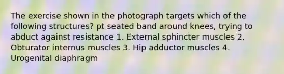 The exercise shown in the photograph targets which of the following structures? pt seated band around knees, trying to abduct against resistance 1. External sphincter muscles 2. Obturator internus muscles 3. Hip adductor muscles 4. Urogenital diaphragm