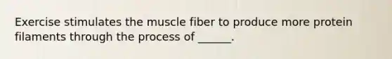 Exercise stimulates the muscle fiber to produce more protein filaments through the process of ______.