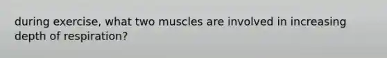 during exercise, what two muscles are involved in increasing depth of respiration?