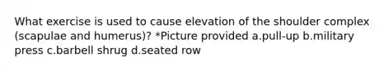 What exercise is used to cause elevation of the shoulder complex (scapulae and humerus)? *Picture provided a.pull-up b.military press c.barbell shrug d.seated row