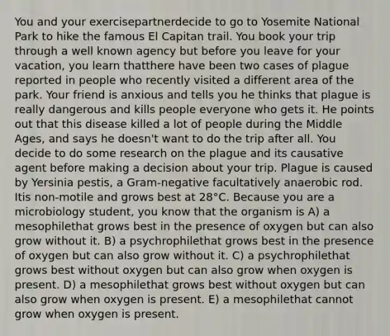 You and your exercisepartnerdecide to go to Yosemite National Park to hike the famous El Capitan trail. You book your trip through a well known agency but before you leave for your vacation, you learn thatthere have been two cases of plague reported in people who recently visited a different area of the park. Your friend is anxious and tells you he thinks that plague is really dangerous and kills people everyone who gets it. He points out that this disease killed a lot of people during the Middle Ages, and says he doesn't want to do the trip after all. You decide to do some research on the plague and its causative agent before making a decision about your trip. Plague is caused by Yersinia pestis, a Gram-negative facultatively anaerobic rod. Itis non-motile and grows best at 28°C. Because you are a microbiology student, you know that the organism is A) a mesophilethat grows best in the presence of oxygen but can also grow without it. B) a psychrophilethat grows best in the presence of oxygen but can also grow without it. C) a psychrophilethat grows best without oxygen but can also grow when oxygen is present. D) a mesophilethat grows best without oxygen but can also grow when oxygen is present. E) a mesophilethat cannot grow when oxygen is present.