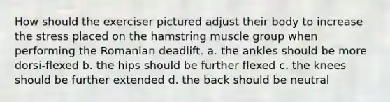 How should the exerciser pictured adjust their body to increase the stress placed on the hamstring muscle group when performing the Romanian deadlift. a. the ankles should be more dorsi-flexed b. the hips should be further flexed c. the knees should be further extended d. the back should be neutral