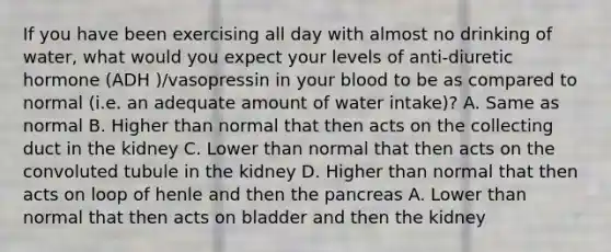 If you have been exercising all day with almost no drinking of water, what would you expect your levels of anti-diuretic hormone (ADH )/vasopressin in your blood to be as compared to normal (i.e. an adequate amount of water intake)? A. Same as normal B. Higher than normal that then acts on the collecting duct in the kidney C. Lower than normal that then acts on the convoluted tubule in the kidney D. Higher than normal that then acts on loop of henle and then the pancreas A. Lower than normal that then acts on bladder and then the kidney