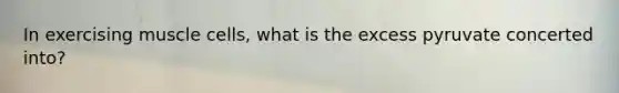 In exercising muscle cells, what is the excess pyruvate concerted into?