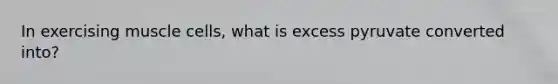 In exercising muscle cells, what is excess pyruvate converted into?